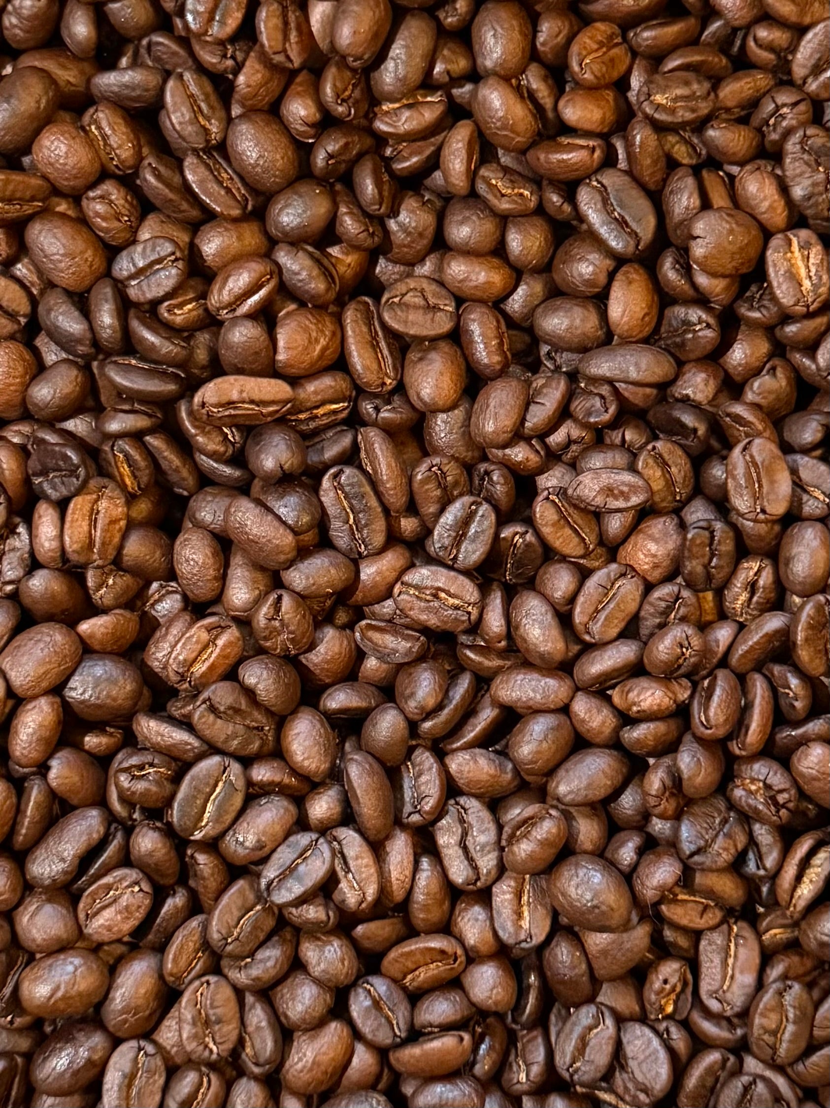 Chiapas Whole Bean (12oz)